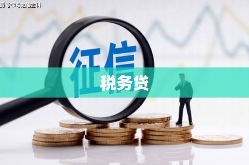 牙克石税务贷