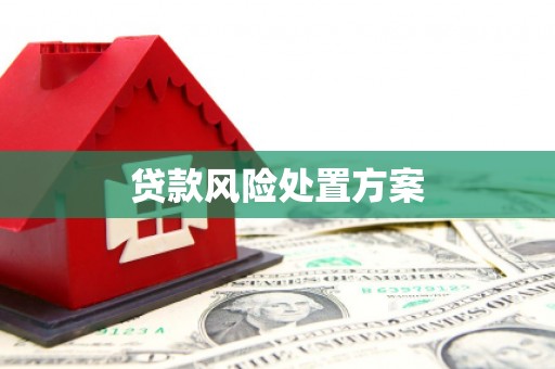 牙克石贷款风险处置方案